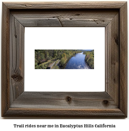 trail rides near me in Eucalyptus Hills, California